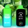 Cool Mint - BIMO Turbo 20000 Disposable Vape at PuffingNow