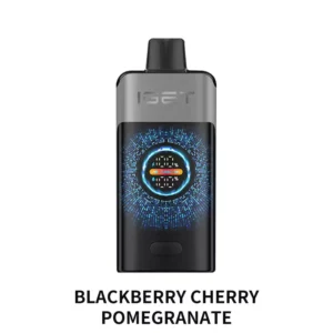 IGET ONE 12000 - Blackberry Cherry Pomegranate Disposable Vape at PuffingNow