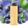 Blueberry Blast - ALIBARBAR Pandora 7000 Disposable Vape at PuffingNow