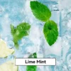 Lime Mint - RELX Infinity Pod Gen6 Disposable Vape at PuffingNow