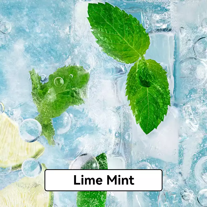 Lime Mint - RELX Infinity Pod Gen6 Disposable Vape at PuffingNow