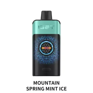 Mountain Spring Mint Ice - IGET ONE 12000 Disposable Vape at PuffingNow