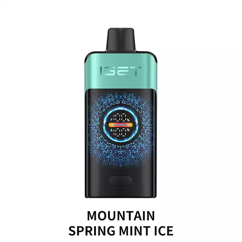 Mountain Spring Mint Ice - IGET ONE 12000 Disposable Vape at PuffingNow
