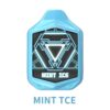 Mint Ice - PICCO Voom 7000 Disposable Vape at PuffingNow