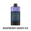 Raspberry Grape Ice - IGET ONE 12000 Disposable Vape at PuffingNow
