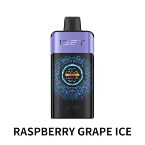 Raspberry Grape Ice - IGET ONE 12000 Disposable Vape at PuffingNow