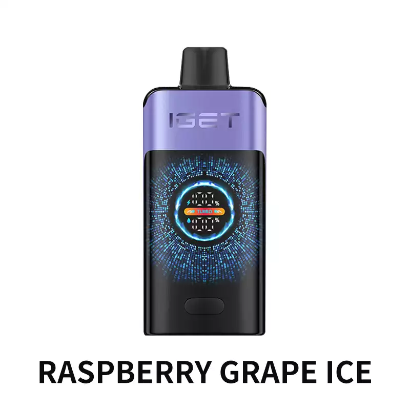 Raspberry Grape Ice - IGET ONE 12000 Disposable Vape at PuffingNow