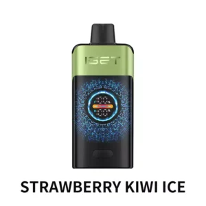 Strawberry Kiwi Ice - IGET ONE 12000 Disposable Vape at PuffingNow