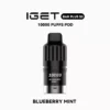 Blueberry Mint - IGET Bar Plus S3 Pod Disposable Vape at PuffingNow