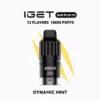 Dynamic Mint - IGET Bar Plus S3 Pod Disposable Vape at PuffingNow